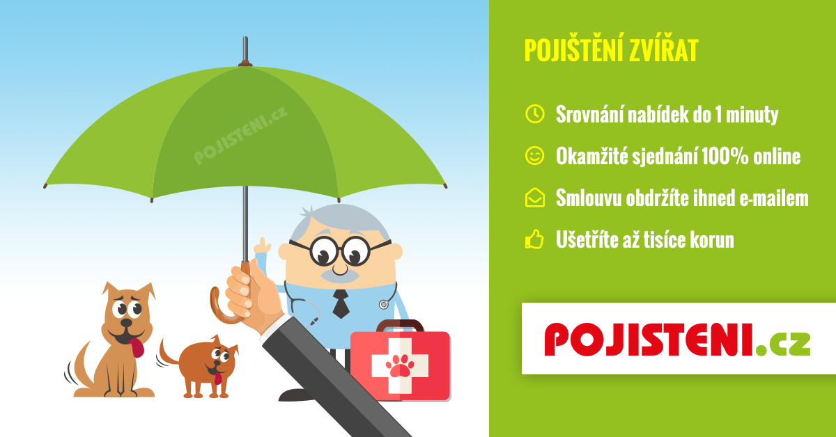 Co to je pojištění zvířat?